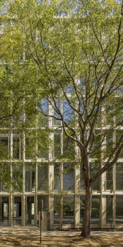 https://www.tact-architectes.com:443/files/gimgs/th-88_241104_PAI_03.jpg