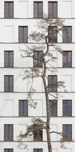 https://www.tact-architectes.com:443/files/gimgs/th-88_241104_PAI_01.jpg